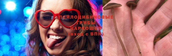 крисы Арсеньев