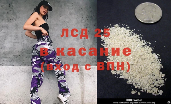 крисы Аркадак