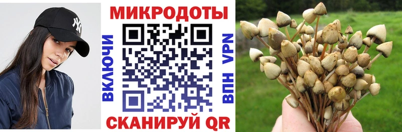 Купить закладки  Новоалександровск  Псилоцибиновые грибы ЛСД 