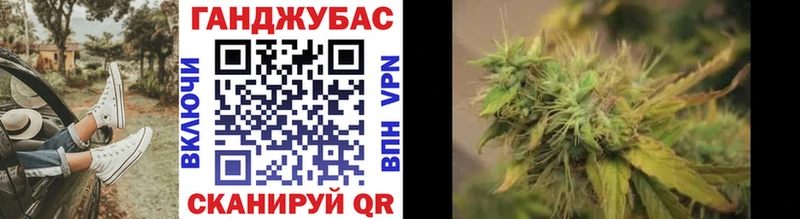 Купить закладки  Новоалександровск  Канабис сатива 